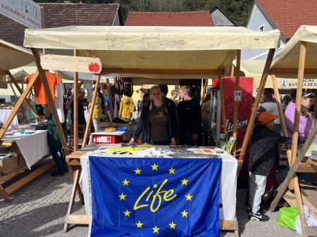 10 Stojnica na prazniku Kozjanskega jabolka